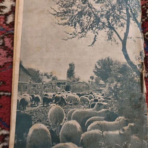 Neolaia magazine used, issue 30, May 1939
