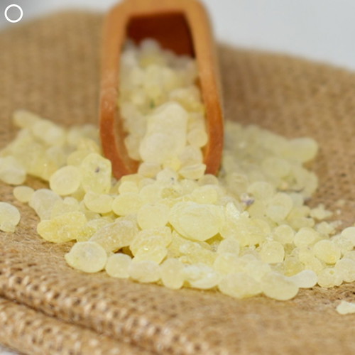 Elma Natural Mastic of Chios 10g fine