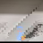  Φλιτζάνι
