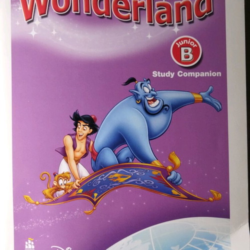 Wonderland Junior B Study Companion like new