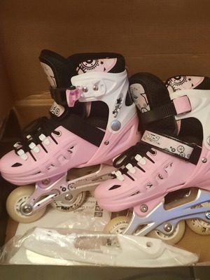 Rollers Skate