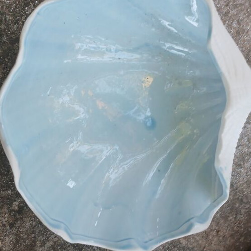 Ceramic decorative shell new