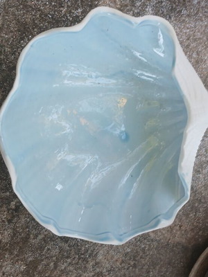 Ceramic decorative shell new