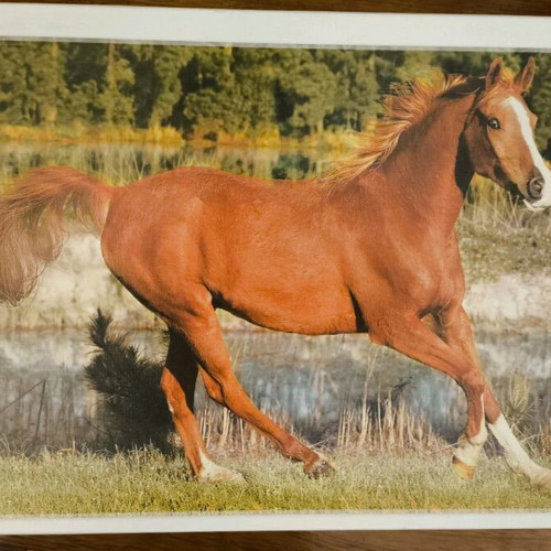 Puzzle 500 pieces like new