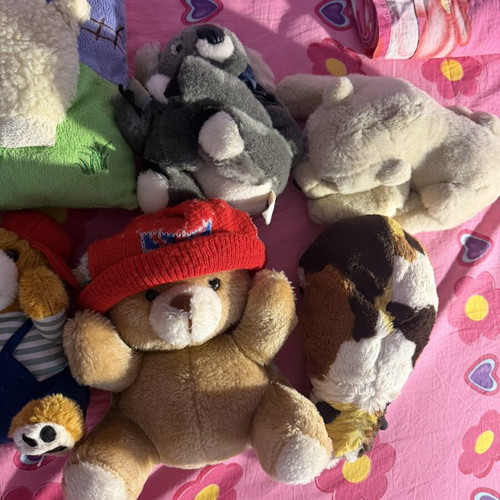 Various plush toys set