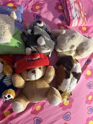 Various plush toys set