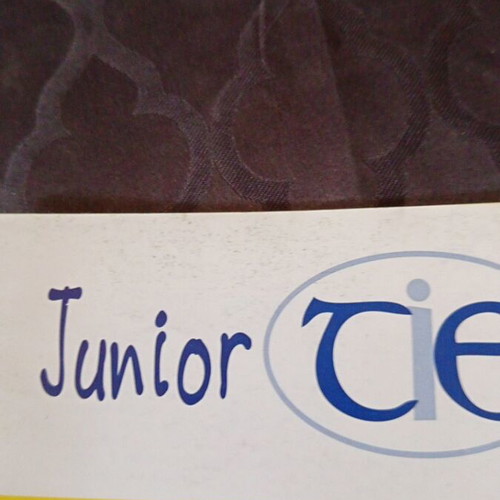 Junior CIE English book used, slight cover stain
