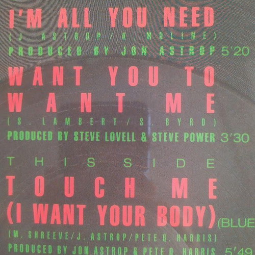 Samantha Fox I'm All You Need Touch Me vinyl 12" picture disc 1986 like new