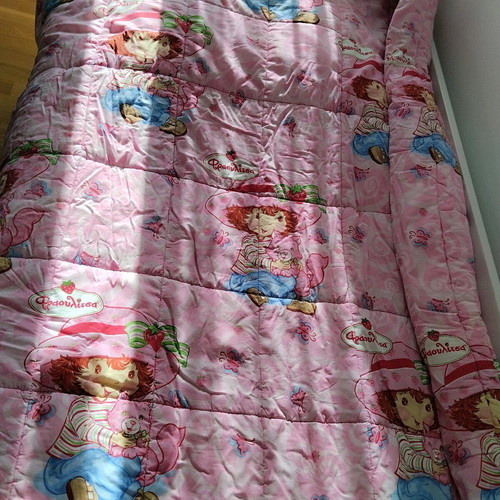 Strawberry Shortcake children's quilt used in very good condition