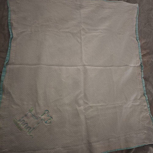 Baby layette set with paw blanket and clothes
