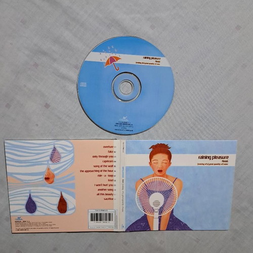 Raining Pleasure Flood CD digipak used, rock