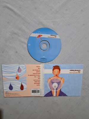 Raining Pleasure Flood CD digipak used, rock