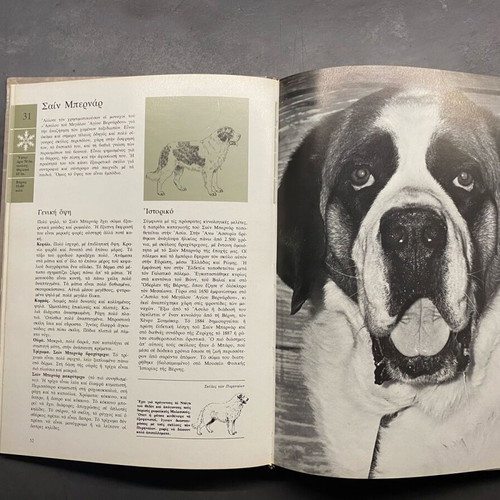 The Big Book of the Dog 2 volumes like new