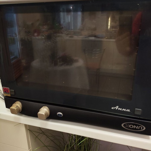 Professional oven used with 7 trays