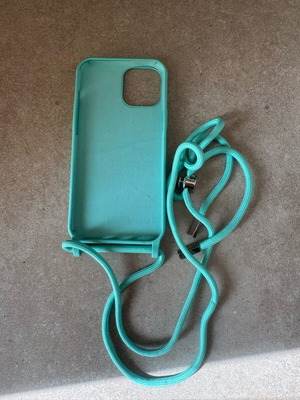 iPhone 12 Pro Max case new