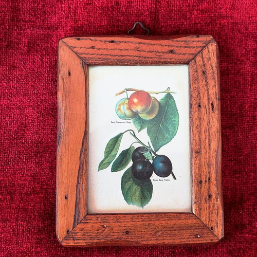 Wooden framed mini prints collection of 3, like new