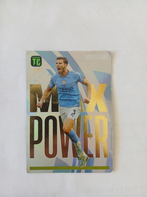 Panini Ruben Dias Max Power sticker used