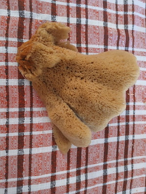 Sponge from Kalymnos new bath product