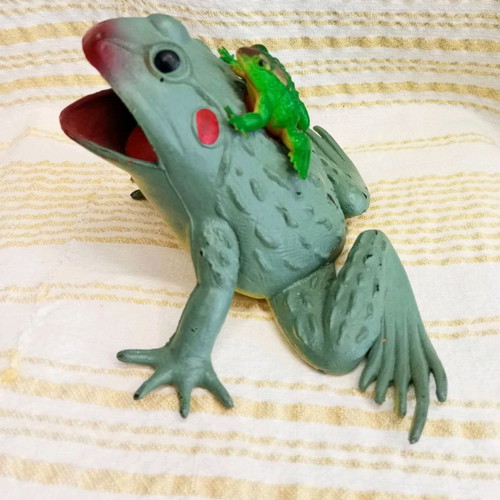 Frog toy used with sound