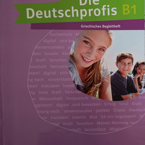 Deutschprofis B1.1 Language Learning Book like new, German