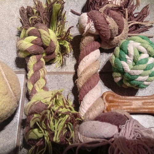 Pet toys used, green and brown