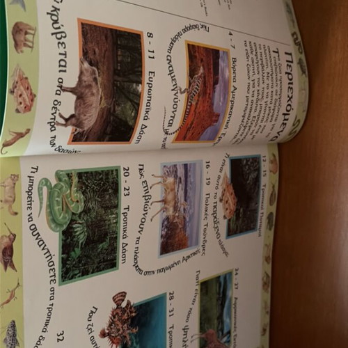 Metamfiesmena Zoa children's book