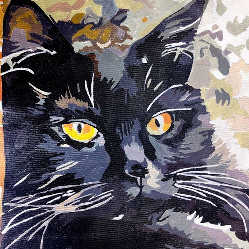 Paint by Number Canvas Picture Acrylic Cat Painting 50x40cm new