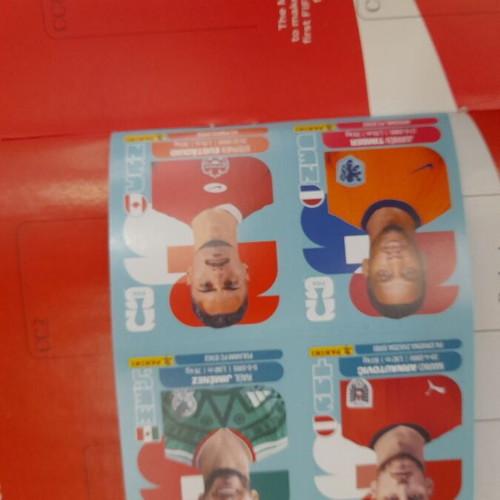 Panini World Cup 2026 Album with 6 Stickers new