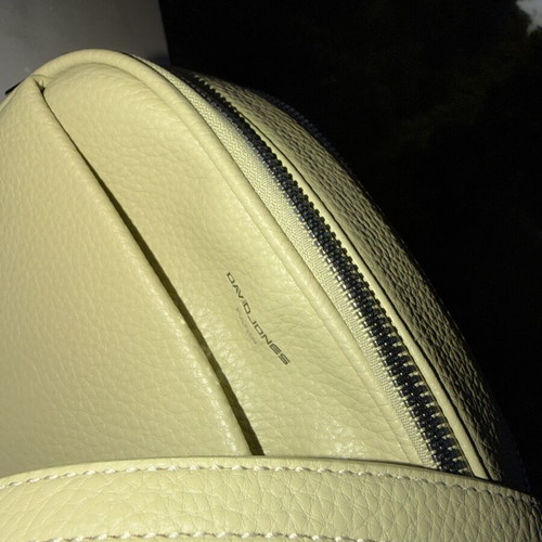 David Jones crossbody bag pistachio green new