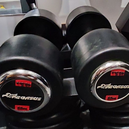 Pegasus round dumbbells 2 x 22.5kg like new