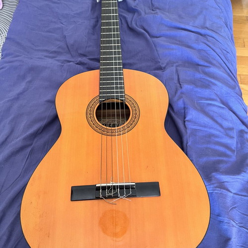 Paco Castillo 201 and Segovia classical guitars used with case and book