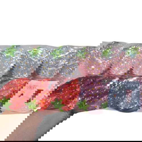 Комплект от 12 нови летни щипки за коса с дизайн ягоди