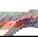 Комплект от 12 нови летни щипки за коса с дизайн ягоди