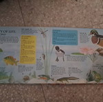 Explore Underwater book new