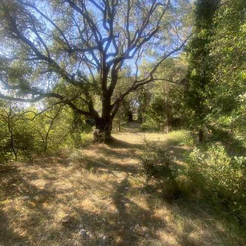 Land Plot 1,000 sq.m. with Sea View near Agios Nikitas Lefkada