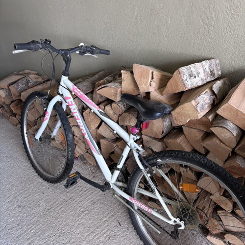 Two mountain bikes used for elementary and middle school kids