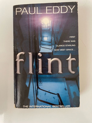 Novel Flint by Paul Eddy used, English language