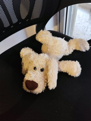 Stuffed dog used