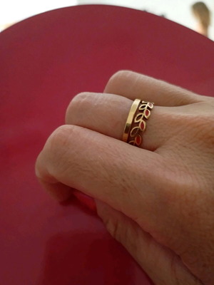 Set of 2 women's rings size 17 new, steel and enamel, red and gold
