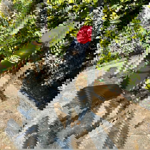 Комплект стойки Viking BR-51 и пейка за фитнес Viking BR-42 Easy Fold употребявани, в добро състояние