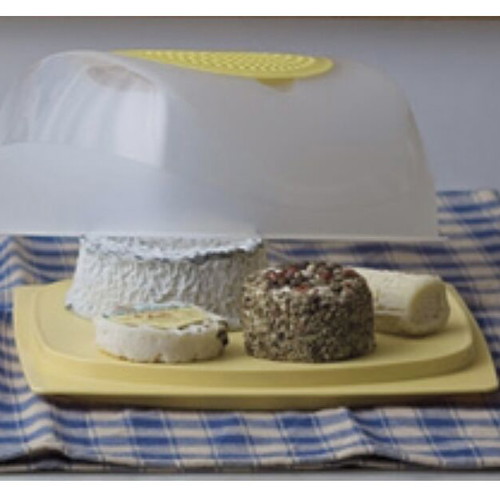 Tupperware Smart Small Cheese Keeper new