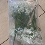 Plastic gypsophila new