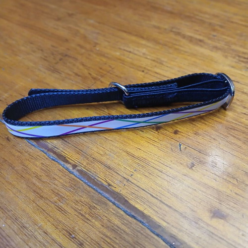 Cat collar new with adjustable design