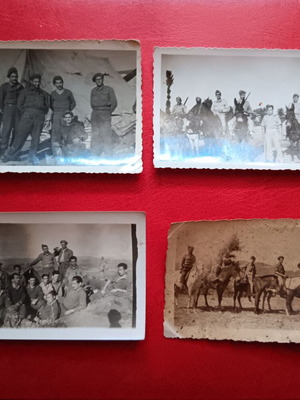 Lot of 7 collectible military photos used