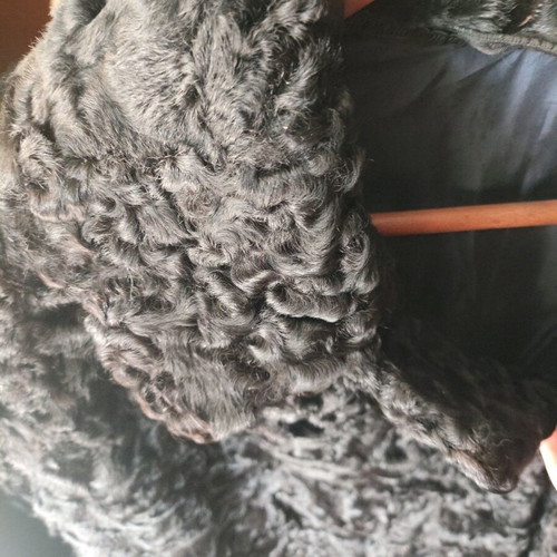 Astrakhan fur black like new