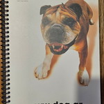 A4 notebook new, 3 subjects