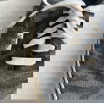  αυθεντικά Vans Authentic με zebra prin