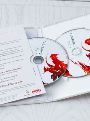 Guild Wars 2 PC used, very good condition