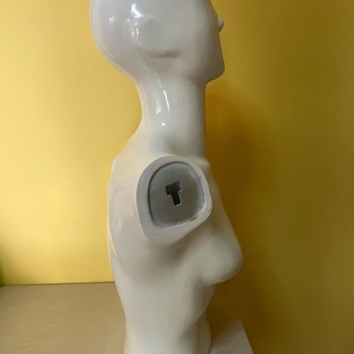 Mannequin torso used