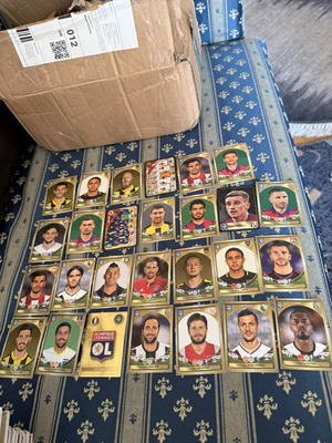 FIFA 365 The Golden World of Football stickers used